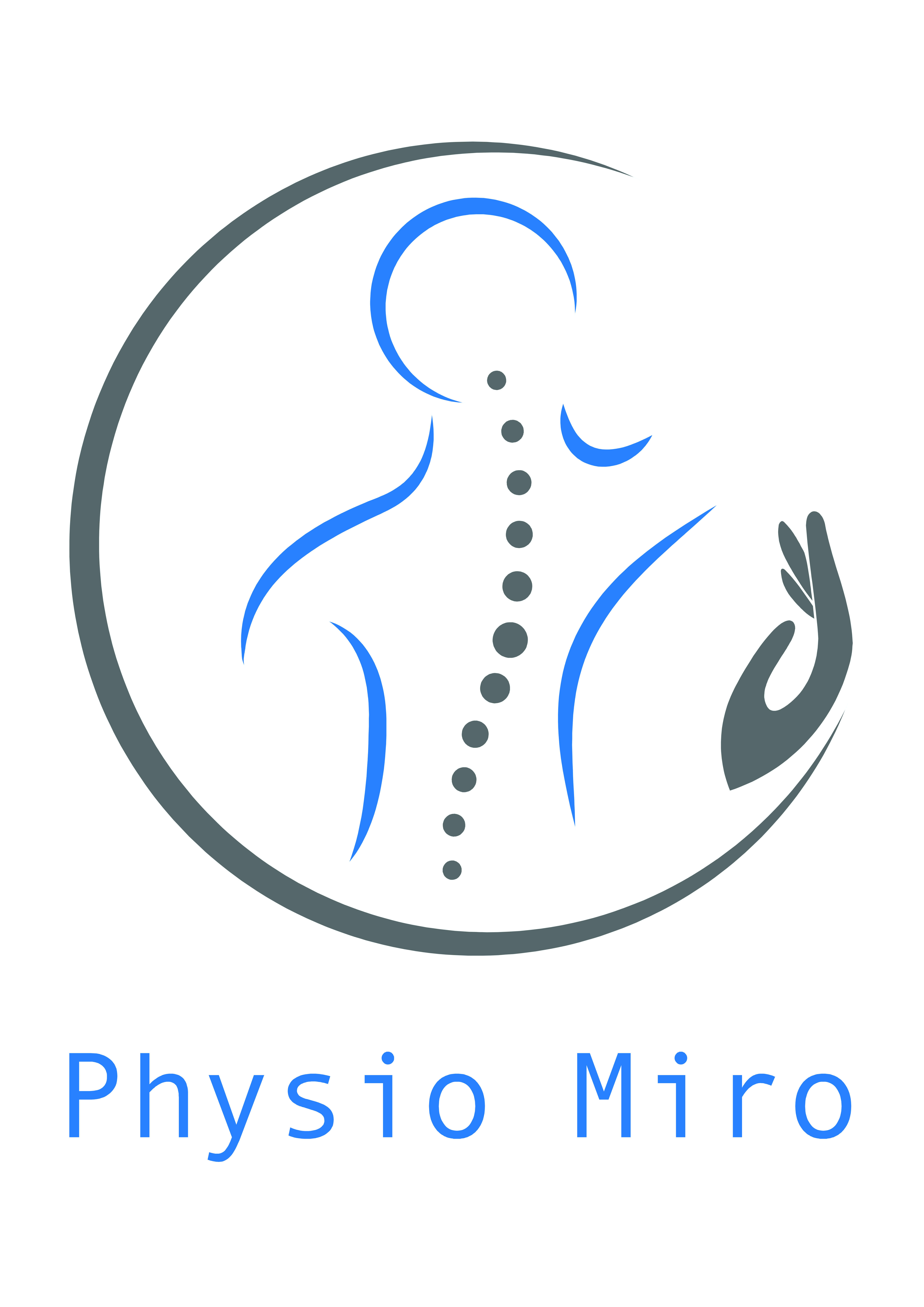 physioMIRO